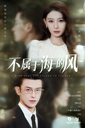 不属于海的风(40集) 不属于海的风(40集)一口气看完全集