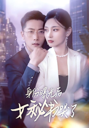 身份曝光后女秘书哭了（31集）热门短剧大全