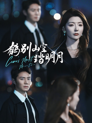 鹤别山空踏明月(53集) 鹤别山空踏明月(53集)演员表