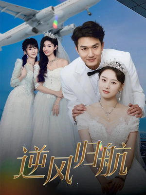 逆风归航（55集）一共多少集