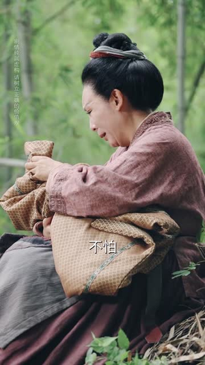 雪落又逢君(78集) 雪落又逢君(78集)短剧太好看