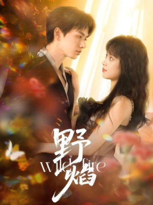 野焰（60集）火爆热门短剧
