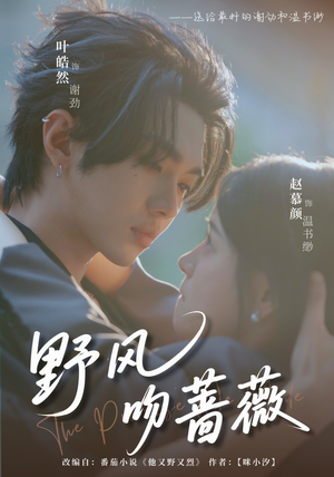 野风吻蔷薇（78集）免费短剧合集