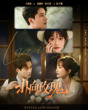 扑向玫瑰(77集) 扑向玫瑰(77集)爱上了这部剧了