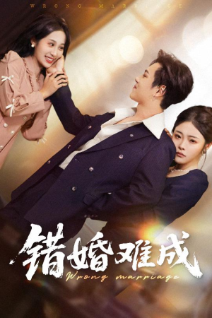 错婚难成(45集) 错婚难成(45集)短剧更新抢先看