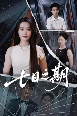 七日之期(90集) 七日之期(90集)女主谁演的