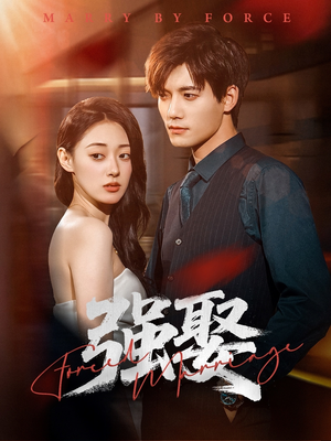 强娶(80集) 强娶(80集)番茄短剧看全集