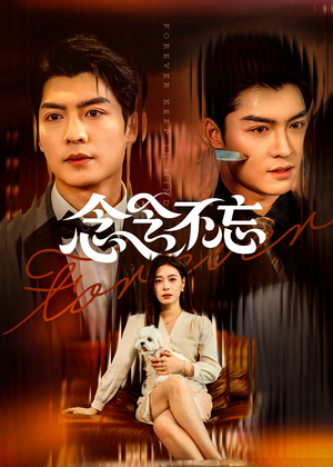 念念不忘（73集）短剧在线看