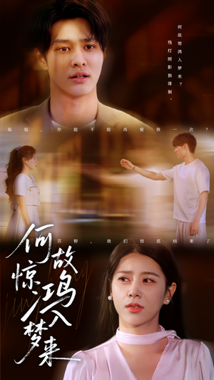 何故惊鸿入梦来（59集）更新时间一览表