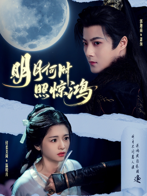 明月何时照惊鸿（80集）短剧太上头了