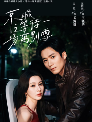 京城之等待一场离别雪(42集) 京城之等待一场离别雪(42集)口碑之选免费看