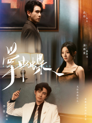 掌中蝶（84集）热播短剧重燃