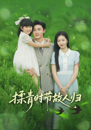 揉青时节故人归（60集）短剧热门合集