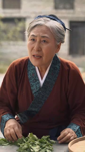 灵狐传（40集）番茄短剧看全集