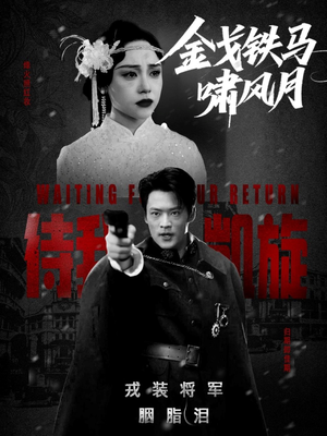 金戈铁马啸风月（54集）热门短剧榜单