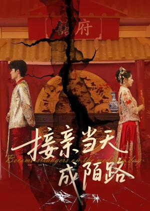 接亲当天成陌路（50集）最火的短剧