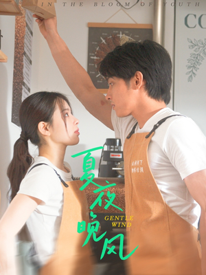 夏夜晚风(12集) 夏夜晚风(12集)高清画质免费看