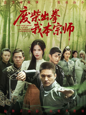 废柴出拳我本宗师（61集）最近很火的短剧