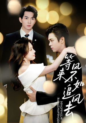 等风来不如追风去（72集）在哪里可以全集