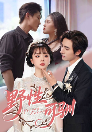 野性可驯（63集）超好看的短剧