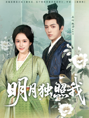 明月独照我(80集) 明月独照我(80集)简直不要太好看