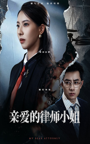 亲爱的律师小姐（50集）演的怎么样