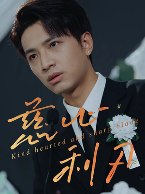 慈心利刃(30集) 慈心利刃(30集)大结局完美收官