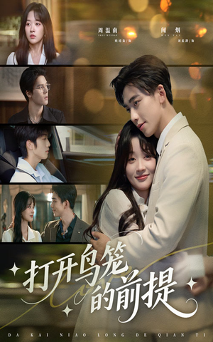 打开鸟笼的前提（43集）在线看