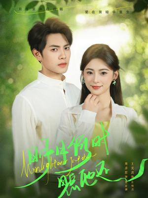 明月何时照他还（73集）热门短剧来袭