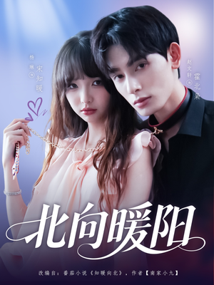 北向暖阳（80集）短剧热门分享
