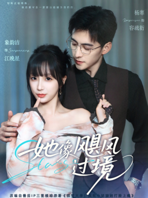 她像飓风过境（81集）最新上映免费看