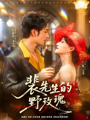 裴先生的野玫瑰（72集）短剧全集完整版