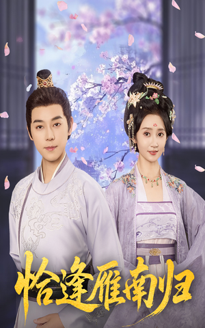 恰逢雁南归（51集）温柔追捕短剧