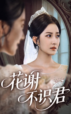 花谢不识君（40集）今日短剧分享