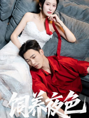 饲养夜色（86集）最新短剧抢先看