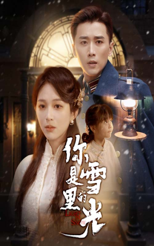 你是雪里的光（64集）热门短剧看不停
