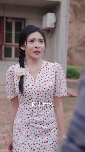 逍遥小村医 (84集) 逍遥小村医 (84集)在哪个平台能看