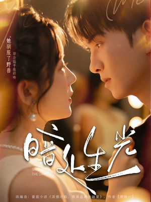 暗处生光(82集) 暗处生光(82集)爆款短剧抢先看