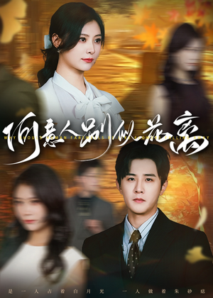 何意人别似花离(61集) 何意人别似花离(61集)完整版免费观看