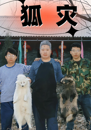 狐灾（25集）短剧在线观看