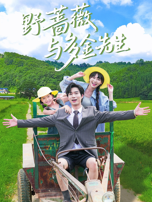 野蔷薇与多金先生（63集）热门短剧又来了