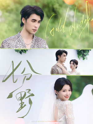 七分野(78集) 七分野(78集)大结局一气呵成