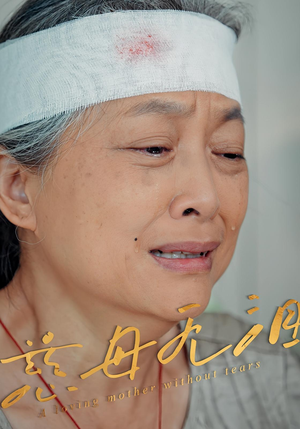 慈母无泪（30集）在哪个平台能看