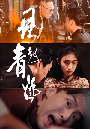 风起青岚（96集）古装热门短剧