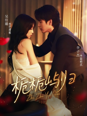 栀栀屿归（80集）经典老剧免费看