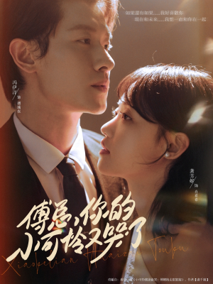 傅总你的小可怜又哭了（80集）好看的短剧推荐