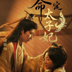 命定太子妃(63集) 命定太子妃(63集)经典老剧免费看