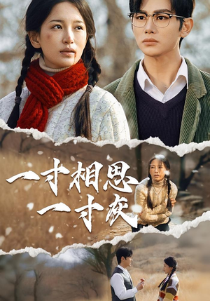 一寸相思一寸灰(43集) 一寸相思一寸灰(43集)短剧更新抢先看