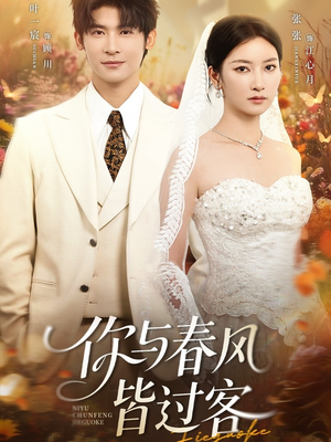 你与春风皆过客（66集）大结局