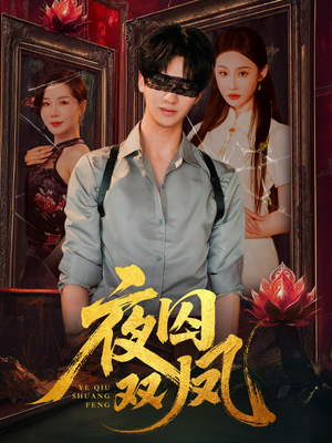 夜囚双凤（46集）网上可以看吗
